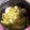 クック3NU9VM☆'s cooksnap of when they made 簡単な蕪のスープ.