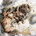 クックE662AA☆'s cooksnap of when they made 鶏肉のマヨネーズオーブン焼き.