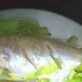 happykote's cooksnap of when they made いしもちの姿蒸し.