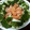 サトモユリア's cooksnap of when they made 鶏と大根のさっぱり煮.