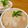 ☆ワニ公☆'s cooksnap of when they made ココットカマン★ブルーベリースフレ.