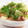 くっくペタ's cooksnap of when they made こじょさんちの大根と鶏肉の煮物.