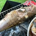 papikun's cooksnap of when they made バーベキューでお魚（ハーブ焼き）.