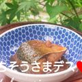 もりあん農園's cooksnap of when they made 母の鯖味噌.