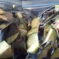 やっちーさん's cooksnap of when they made 野菜冷凍保存！ナス.