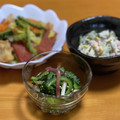 ふくコー's cooksnap of when they made さっぱり☆ゴーヤと茗荷の酢の物.