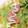 クックE662AA☆'s cooksnap of when they made 簡単もっちりクレープ生地.