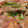 yamame6jp's cooksnap of when they made 切って和えるだけ★水ナス生ハムのマリネ風.