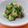 ☆３匹の子ぶた☆'s cooksnap of when they made キュウリみょうが大葉のゆかり姉さん漬け.