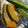 cocoism's cooksnap of when they made 夏野菜の焼きマリネ.