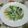 レオミウ's cooksnap of when they made たらと小松菜のクリーム煮.