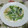 レオミウ's cooksnap of when they made たらと小松菜のクリーム煮.