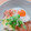 ☆３匹の子ぶた☆'s cooksnap of when they made カフェ風♥納豆目玉焼き丼.