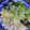 cyobindish's cooksnap of when they made 簡単！最高冷やし中華の作り方.