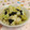 赤い電話's cooksnap of when they made 簡単！レタスと海苔の和風サラダ♪.