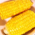milestone★'s cooksnap of when they made 農家究極のとうもろこしの茹で方！.