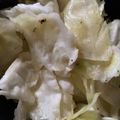 H♡S's cooksnap of when they made 隠し味は白だし☆春キャベツのサラダ.