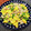 クック8KAIWY☆'s cooksnap of when they made 子供も♡コーンとピーマン豚肉の中華風炒め.