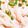 かけてみよ's cooksnap of when they made * 明太マヨうどん *.