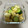 クックJM4DRV☆'s cooksnap of when they made きゅうりとはんぺんのわさび醤油和え.
