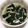 もぐ・ω・くま's cooksnap of when they made えのきとわかめのすまし汁♪.
