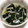 もぐ・ω・くま's cooksnap of when they made えのきとわかめのすまし汁♪.