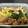 Rick_t's cooksnap of when they made 鶏肉と小松菜の南蛮漬け風.
