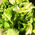 kbmm's cooksnap of when they made サラダ菜で♬ 焼肉屋さんのサラダ ♬.