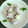 ひさかた's cooksnap of when they made 一口サイズの練乳アズキアイス.