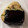 えみんちゅー☆'s cooksnap of when they made 簡単★おいしい　あじ（鯵）ごはん.