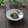 まろんかふぇ's cooksnap of when they made 酒かすと白味噌の超お手軽わさび漬けの素.