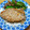 プルンバゴ's cooksnap of when they made ☆とんかつ用肉で玉ねぎソースの生姜焼き☆.