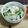 クック5DD1NO☆'s cooksnap of when they made ズッキーニ&しらす&白菜のオイルパスタ.