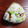 まやしゅうまま's cooksnap of when they made 枝豆とカルシウム増し増しおにぎり.