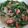 クック00Q0QZ☆'s cooksnap of when they made 空芯菜とウインナーのオイスター炒め.