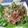 辰夫女子's cooksnap of when they made 砂肝と香味野菜のポン酢和え☆.