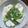 まりゆりひろこ's cooksnap of when they made 【アレンジ】山形だし風のダシ豆腐（冷奴）.