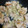 yu228's cooksnap of when they made ネギ塩チキン♪簡単ねぎ塩だれ炒め.