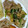 そよかぜMLQ's cooksnap of when they made 鶏と小松菜と卵のオイスターソース炒め.