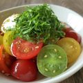 ばぢこ's cooksnap of when they made トマトと薬味のさっぱり！だしサラダ.