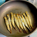 ピョンちゃん★'s cooksnap of when they made ⭐️ししゃもの焼き方.