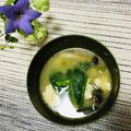 Laufen's cooksnap of when they made ☆栄養満点！つるむらさきの味噌汁.