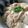 Nöööla♡'s cooksnap of when they made 簡単ヘルシー！豆腐丼.