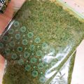 ＊実月＊'s cooksnap of when they made 冷凍保存OK★ 自家製バジルソース.