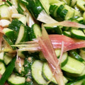 ちゃぎー's cooksnap of when they made 【切って和える】キュウリとミョウガ.