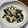 ぽちひ's cooksnap of when they made ワカメ消費に☆ワカメの簡単白和え.
