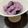 クック3VG036☆'s cooksnap of when they made 体に優しい甘酒アイス.
