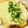 はなのかくめいじ's cooksnap of when they made 簡単おつまみ チーズ豆腐.