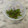 ナピト's cooksnap of when they made なすとピーマンのじゃこ炒め.