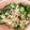 ♡♡（＾Ｏ＾）♡♡'s cooksnap of when they made すき家♡かつぶしオクラ牛丼のオクラ.